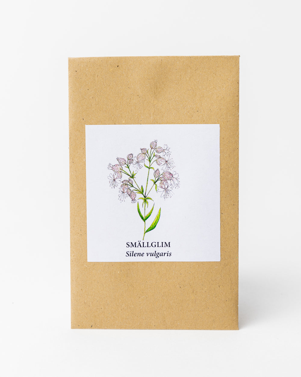 SMÄLLGLIM (Silene vulgaris)